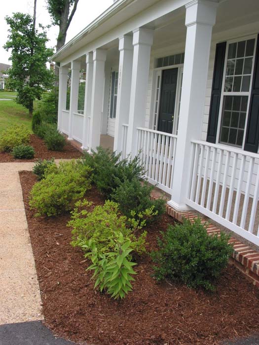landscaping1