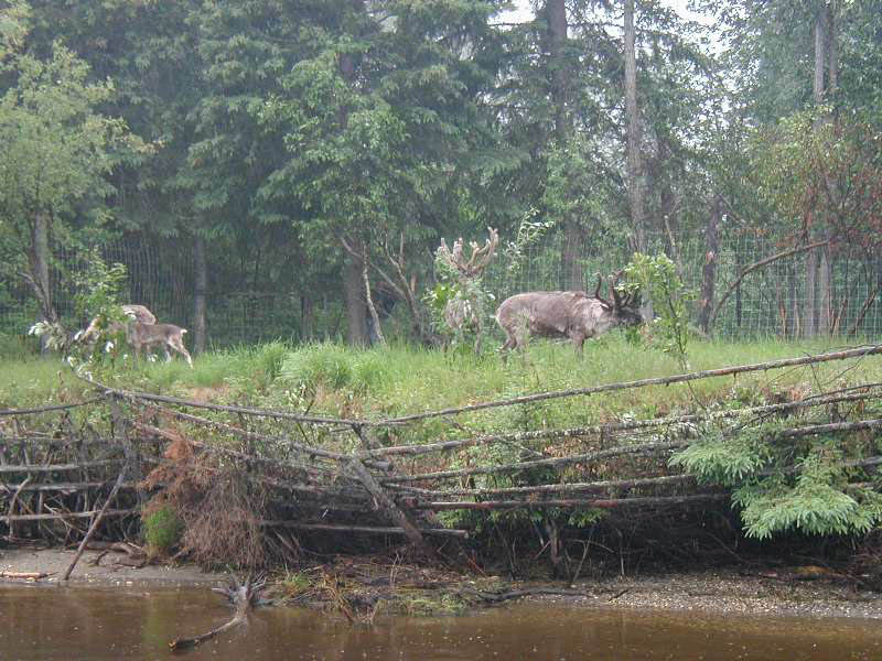 alaska10