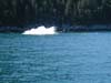 alaska37